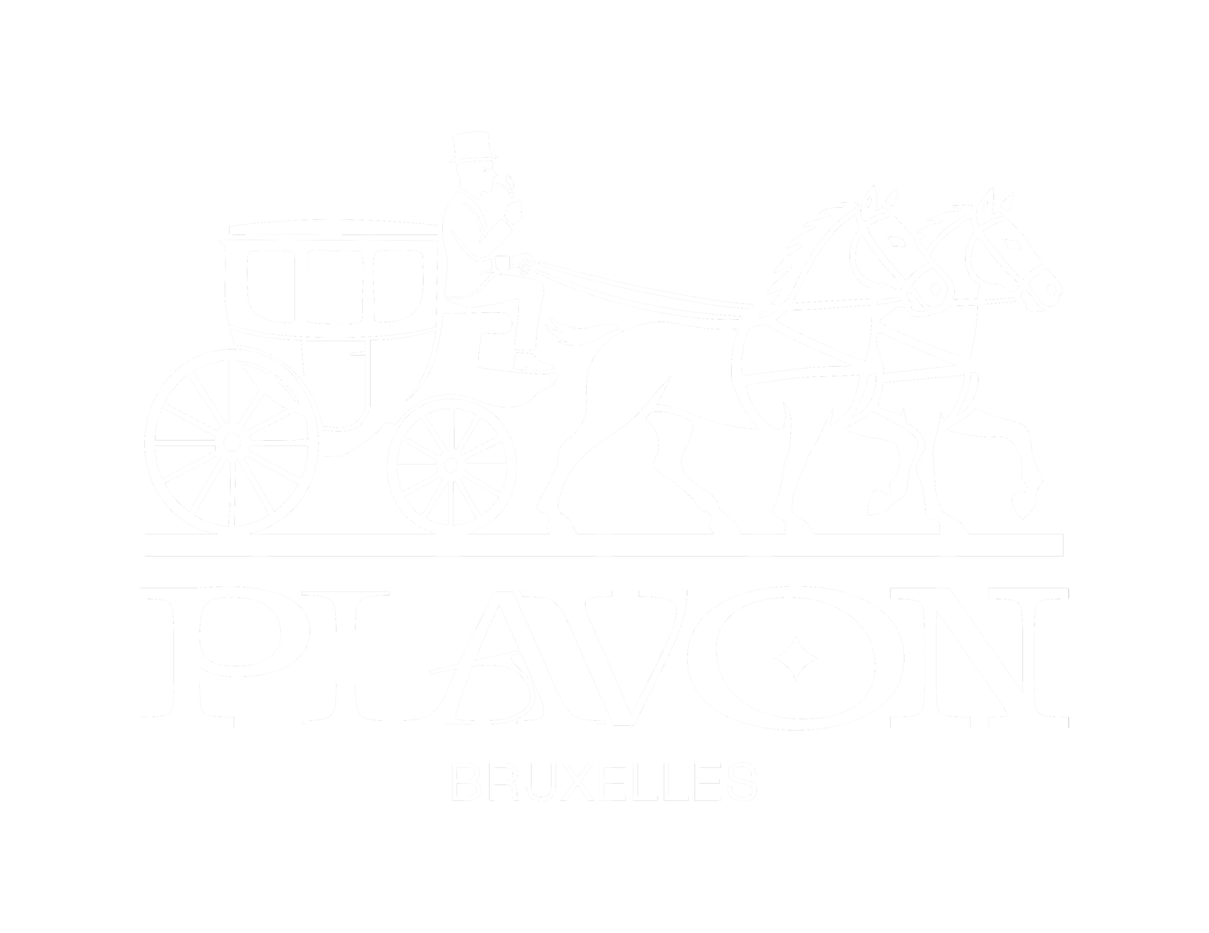 PLAVON BXL